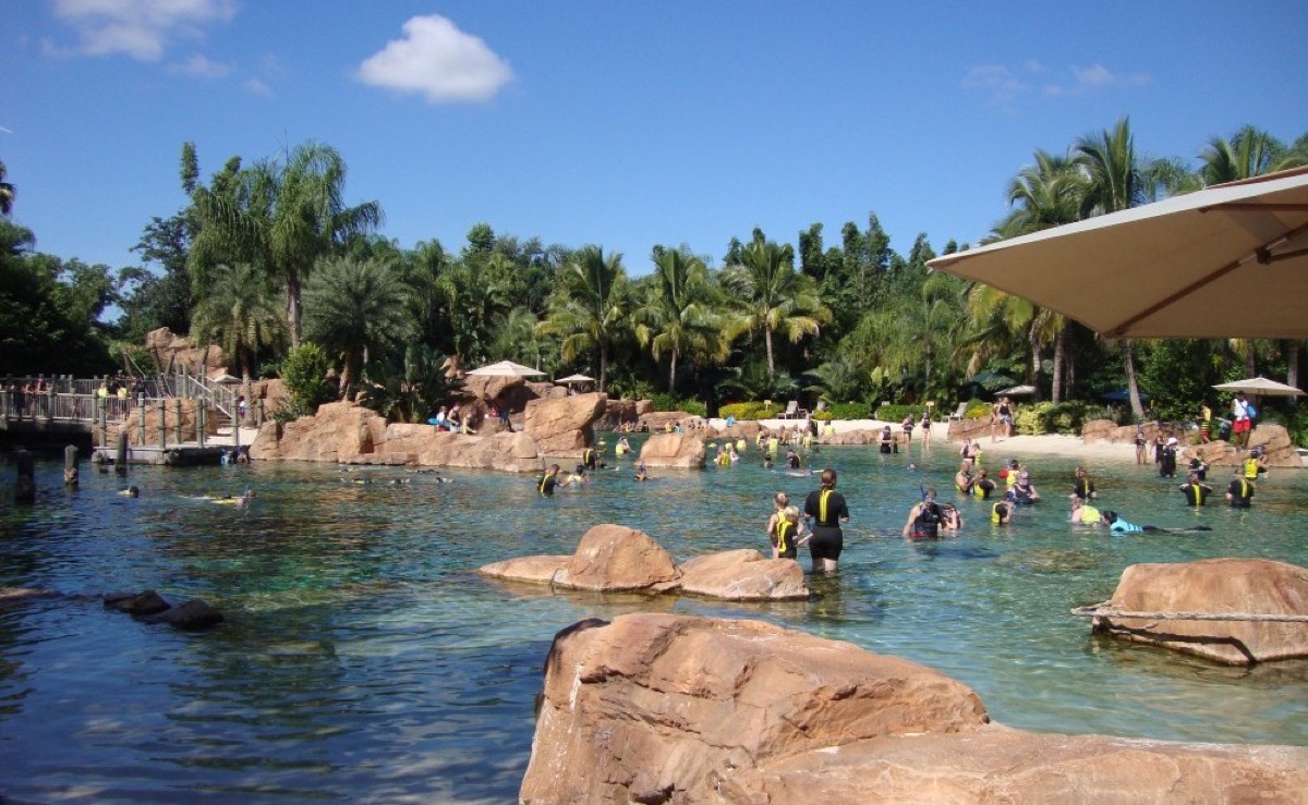 all about Discovery cove orlando all about Discovery cove orlando