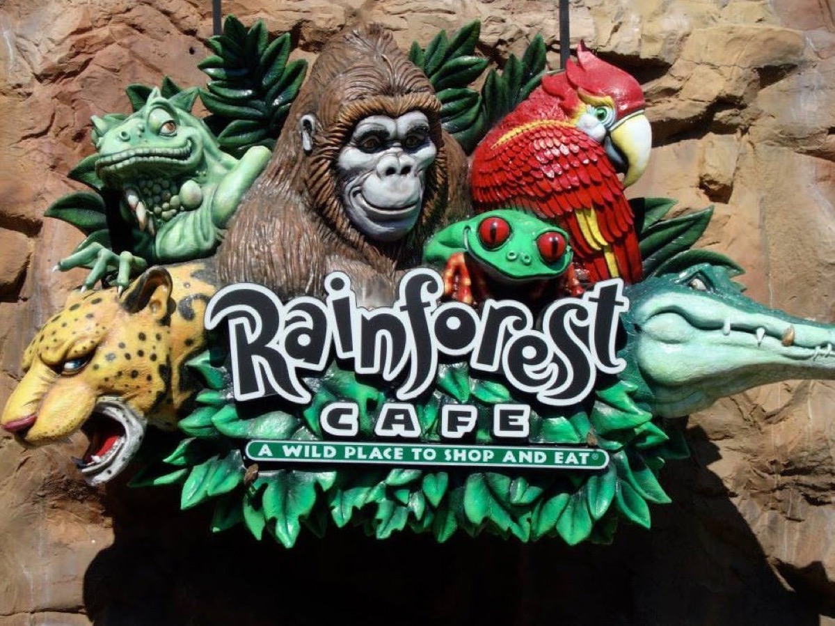 rainforest cafe