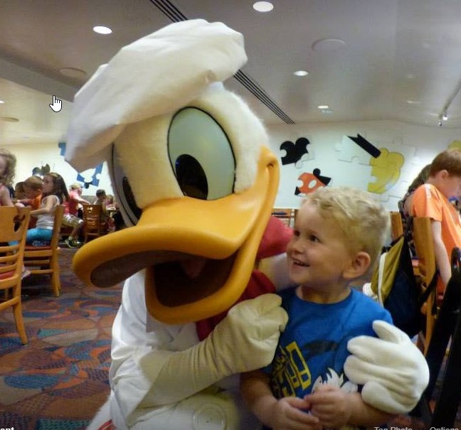 donald duck