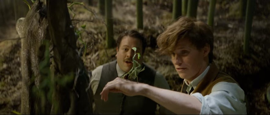 Fantastic Beast’s Fantastic Beast’s