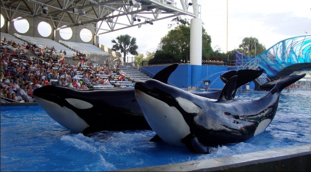 Seaworld