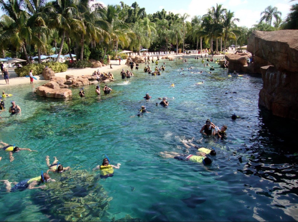 discovery cove discovery cove
