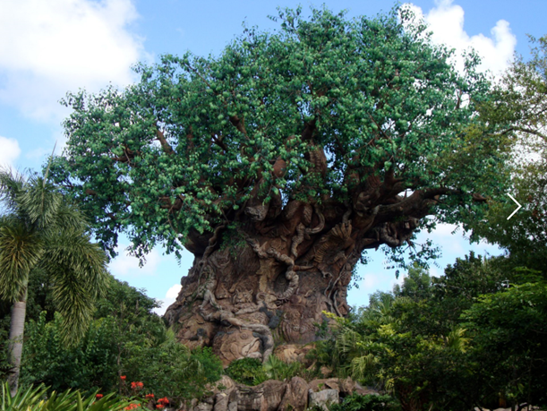 Animal Kingdom | Disney and Orlando Geeks