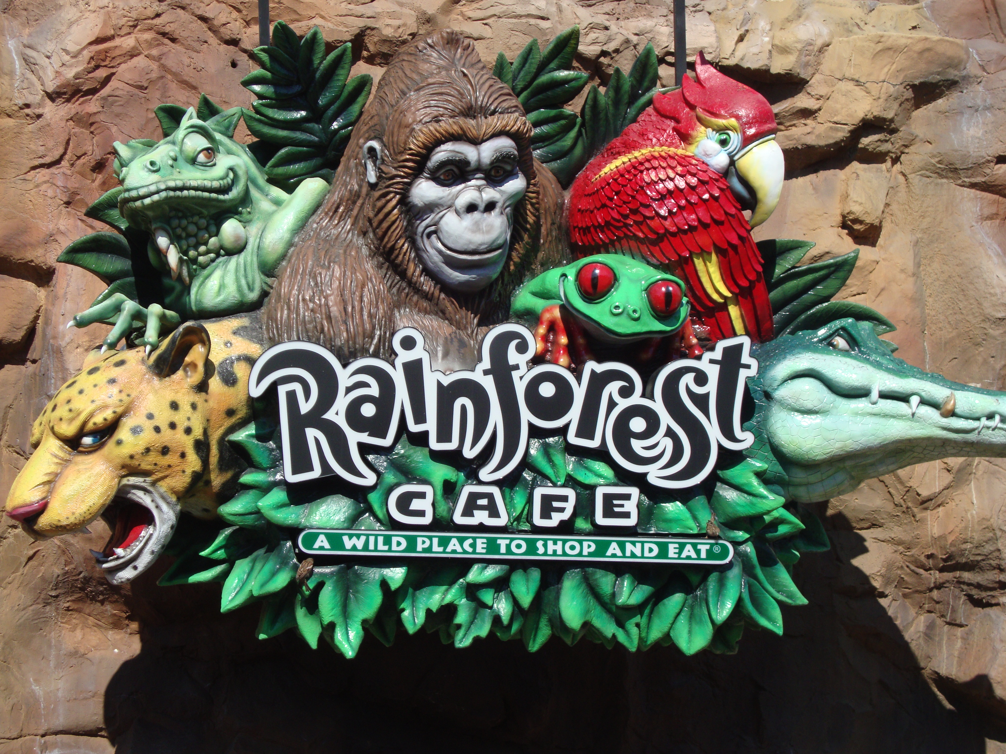 Rainforest cafe