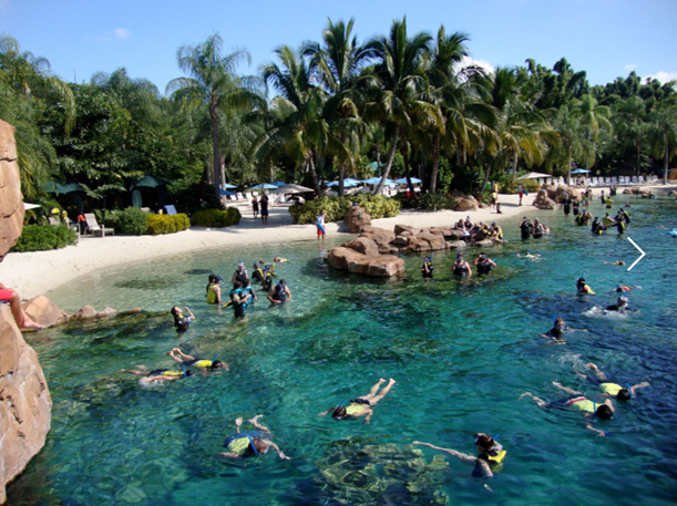 Discovery Cove Pictures