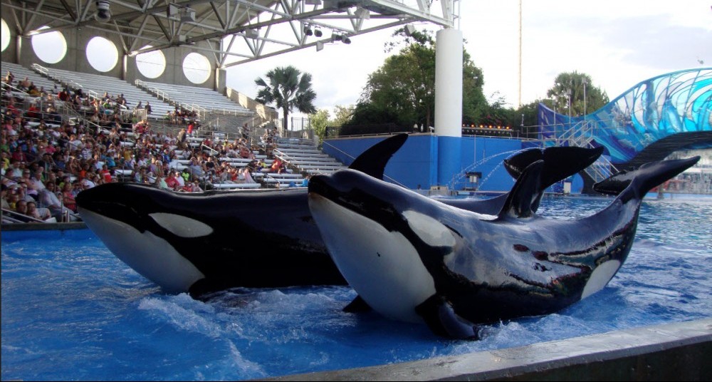 seaworld orlando