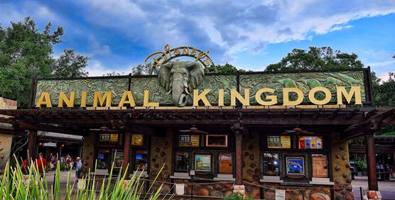 Animal Kingdom: A Disney Adventure with Wildlife
