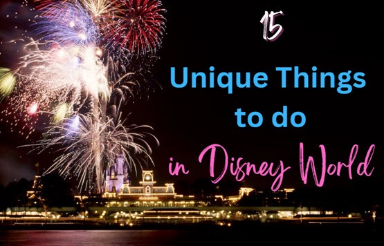 15 Unique Things to do in Disney World