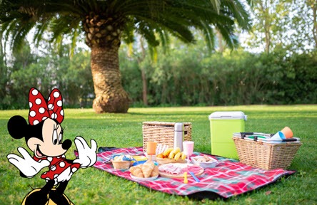 picnic with Minnie Mouse